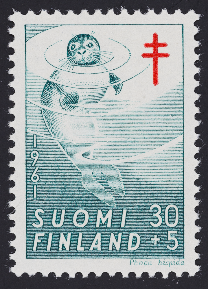 1961, anti tuberculosis saimaa seal phoca hispida saimensis green img 3588 exported 20220309